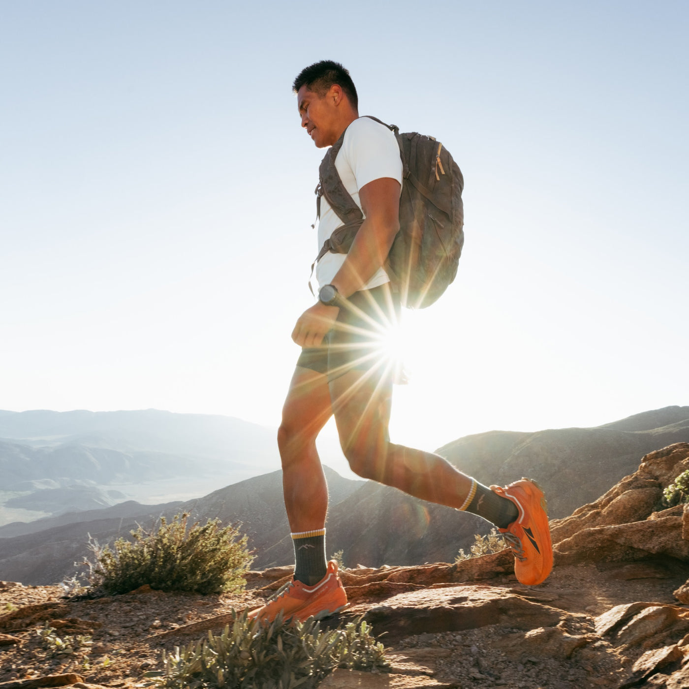 1466 Hiker in Spruce — on the trail